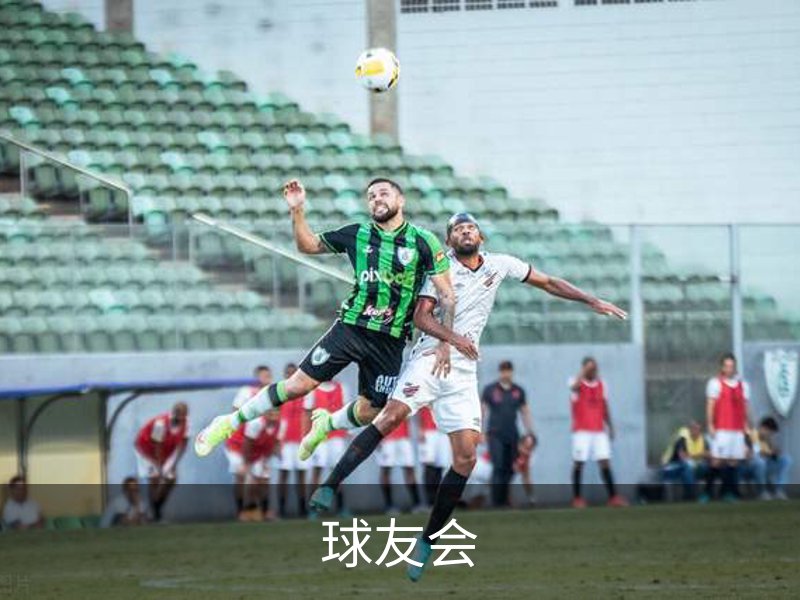 球友会概况